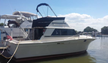 Screen Shot 2022-01-24 at 22.13.40